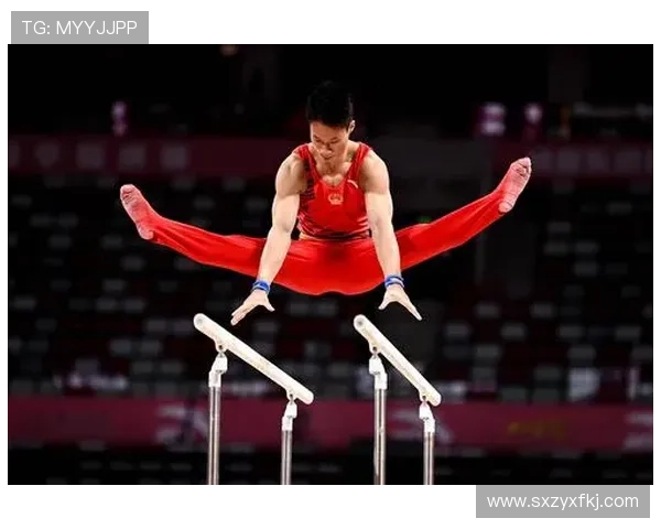 全运会体操男子双杠决赛激烈角逐呈现精彩赛况全景深度解析报道汇
