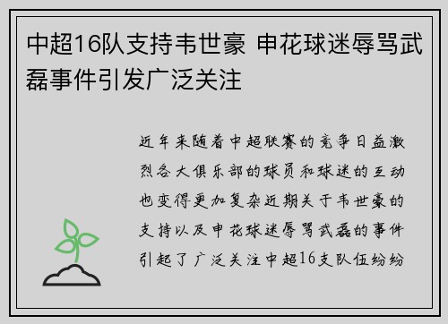 中超16队支持韦世豪 申花球迷辱骂武磊事件引发广泛关注